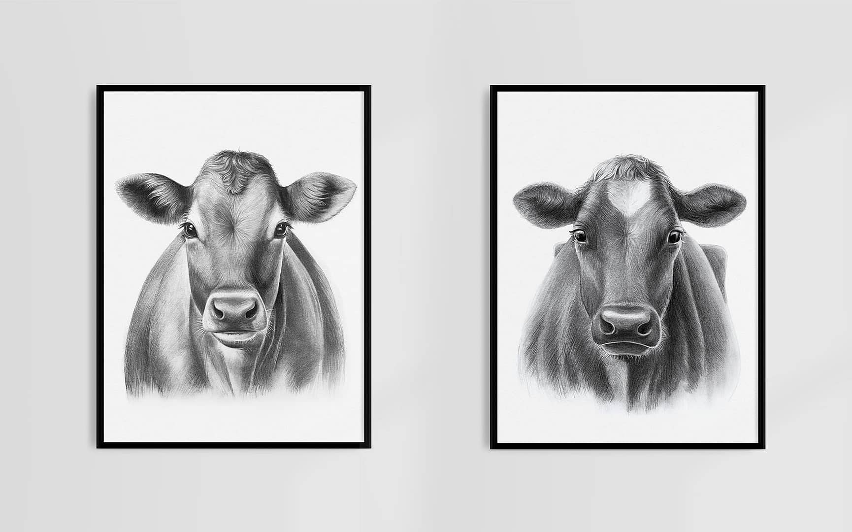 Original Bleistiftzeichnungen Kühe, Cow Drawings | Sabrina Hassler | Sabrillu