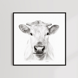 Kunstdruck Kuhportrait - Fine Art Print Cow portrait Sabrina Hassler - Kuh-Zeichnungen