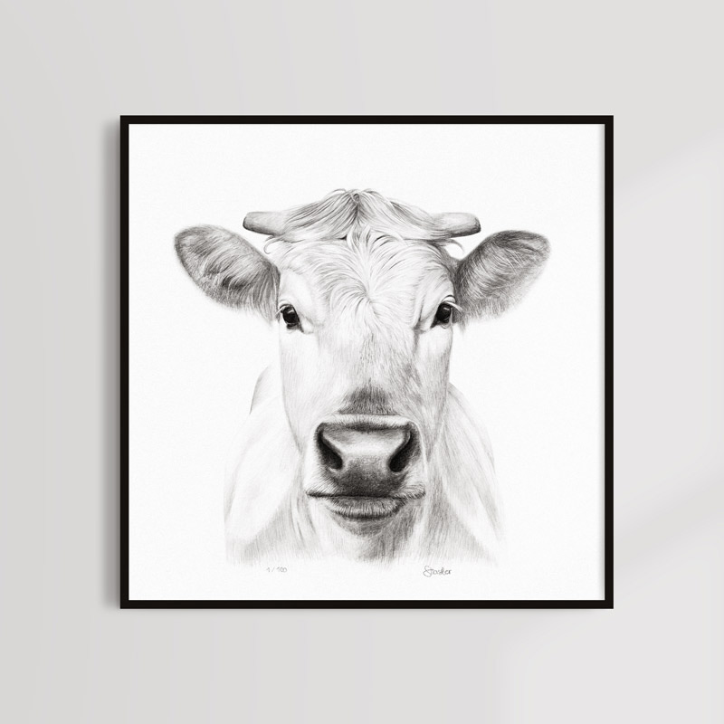 Kunstdruck Kuhportrait - Fine Art Print Cow portrait Sabrina Hassler