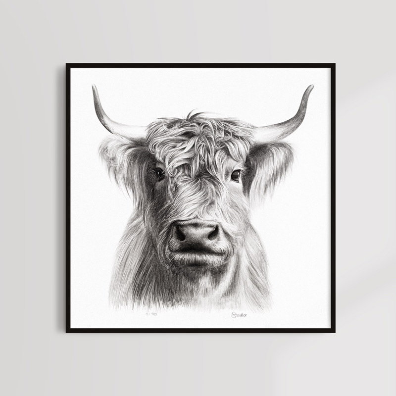 Highland cow art print - Kunstdruck Hochlandrind Sabrina Hassler